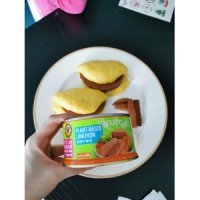 Tasty plant based protein